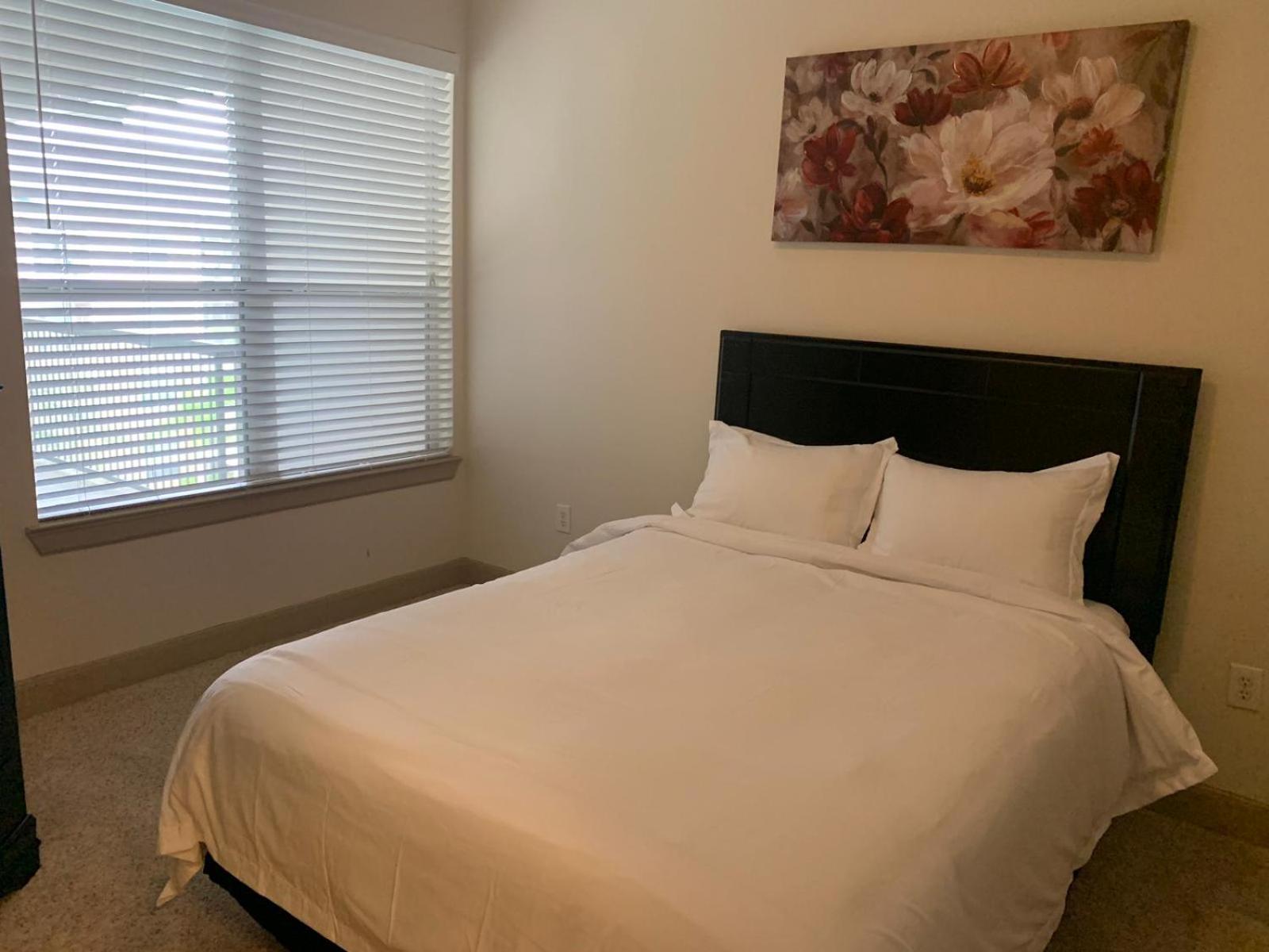Gorgeous Furnished Apartments Near Texas Medical Center & Nrg Stadium Houston Zimmer foto