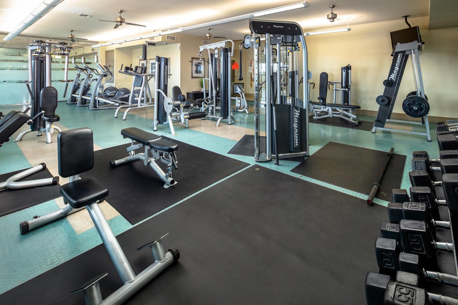 Gorgeous Furnished Apartments Near Texas Medical Center & Nrg Stadium Houston Exterior foto