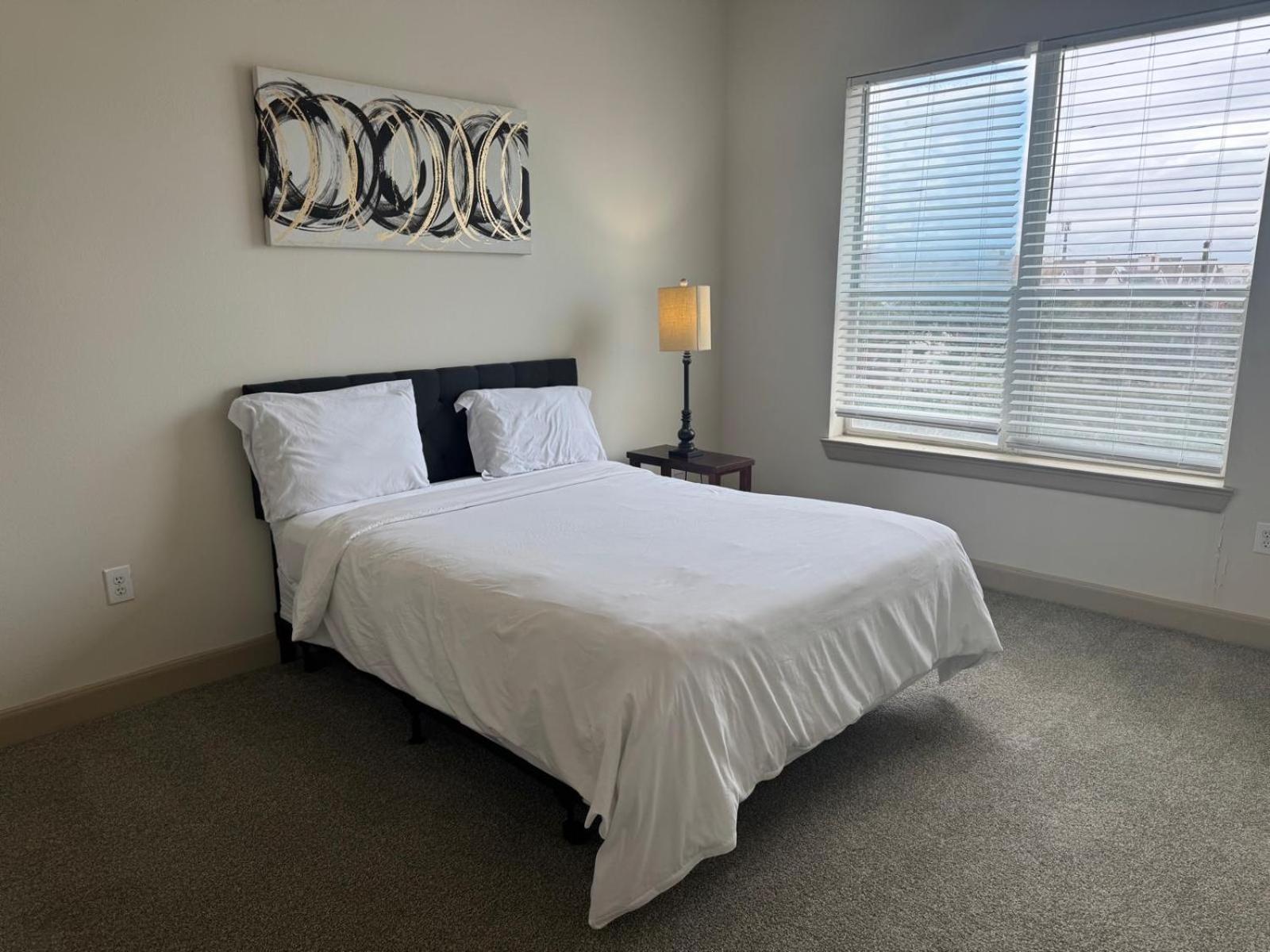 Gorgeous Furnished Apartments Near Texas Medical Center & Nrg Stadium Houston Zimmer foto