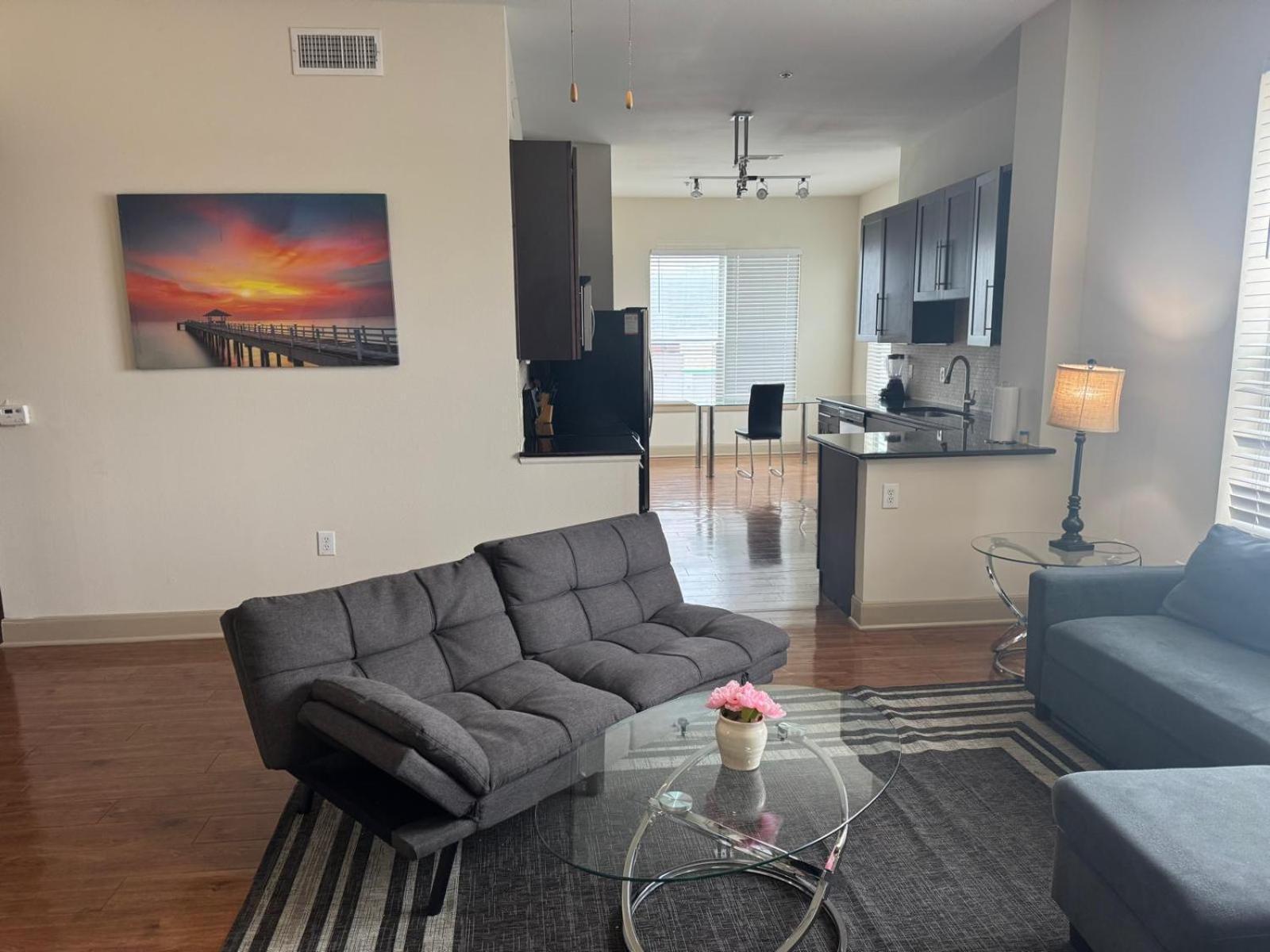 Gorgeous Furnished Apartments Near Texas Medical Center & Nrg Stadium Houston Zimmer foto